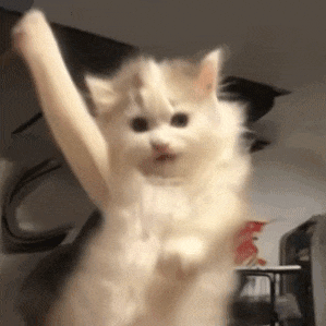 开战！《指尖四川麻将》武林争霸赛启幕，15 天狂欢赢 5W 金条 、 大疆无人机等重磅大奖！图片_10