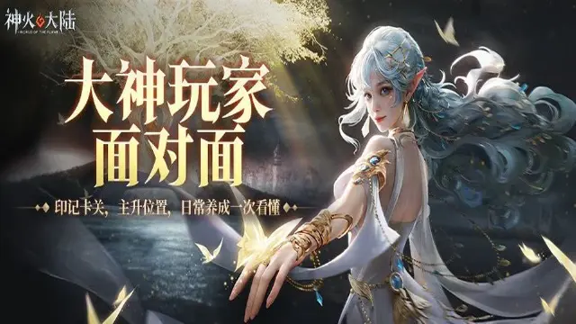 《神火大陆》大神面对面丨全是干货！印记卡关，主升位置~日常小细节全部看完~内含绑钻福利！图片
